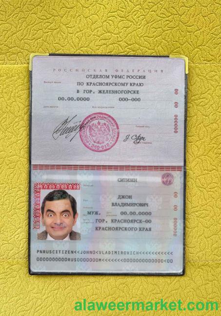 Russia Standard Passport photo look